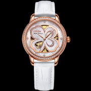 最终的选择仍依赖于小我的需求取利用